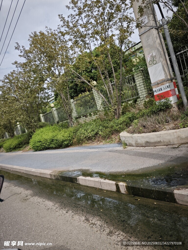 道路旁的绿化景观