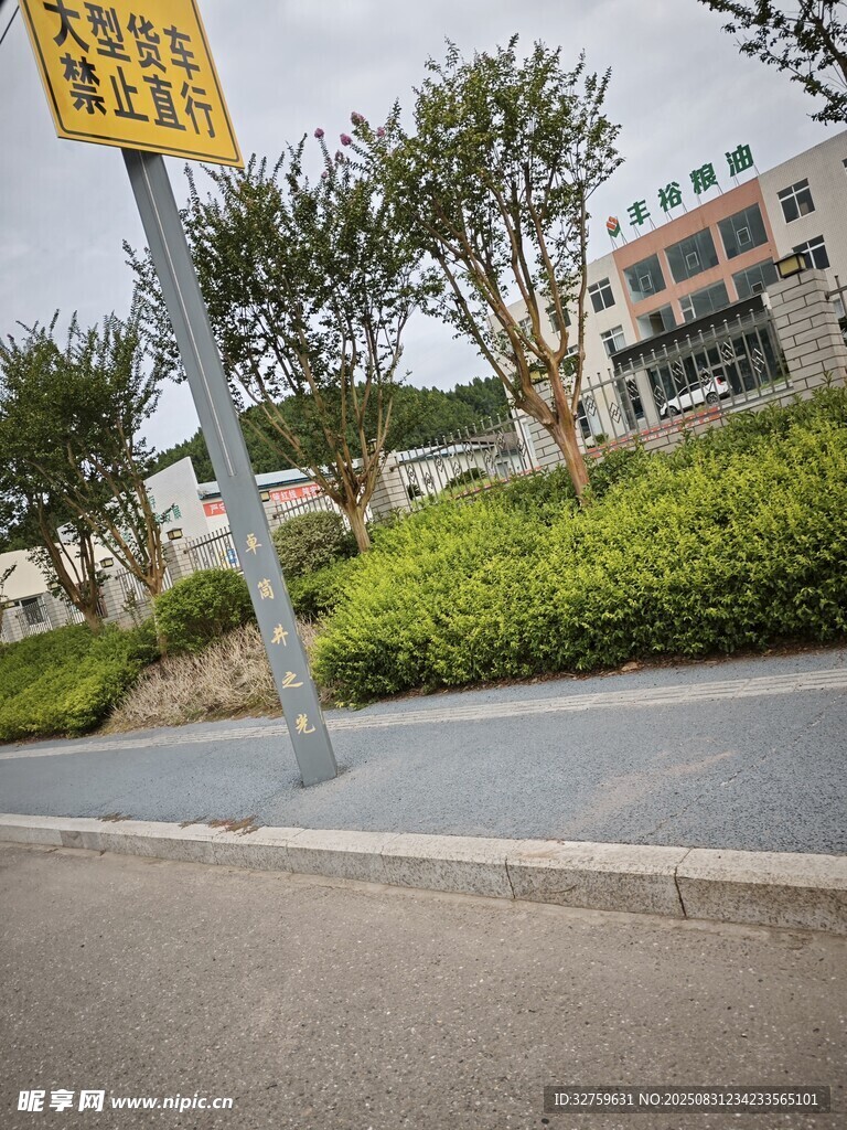 路边交通指示牌与绿化景观