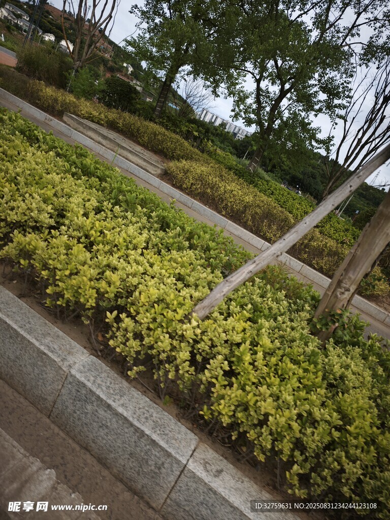 城市绿化带景观