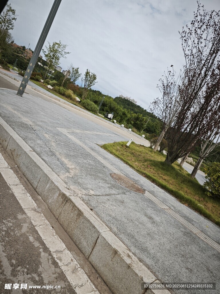 城市道路旁的绿化景观