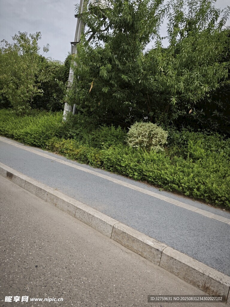 城市路边绿化带景观