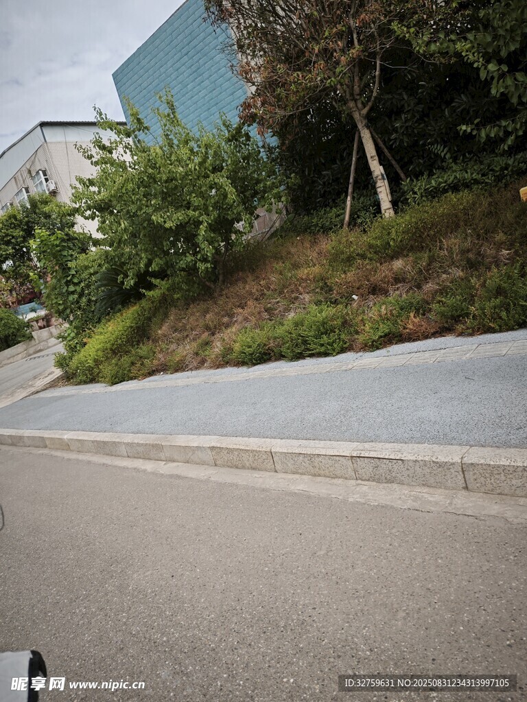 路边绿植景观