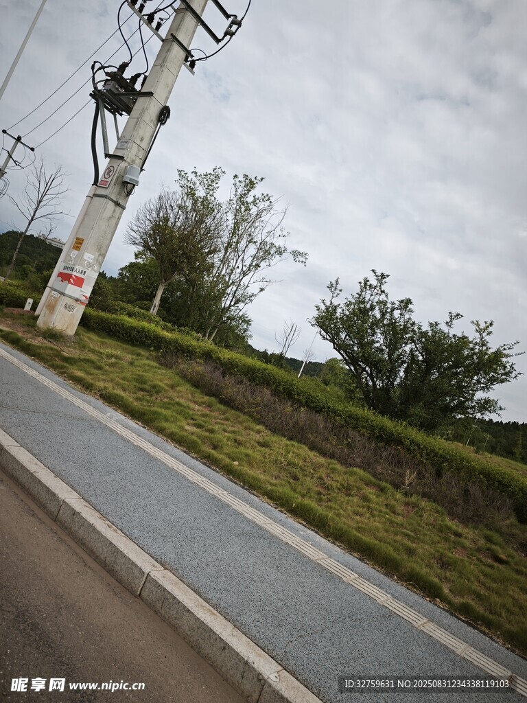 公路旁的电线杆与绿植
