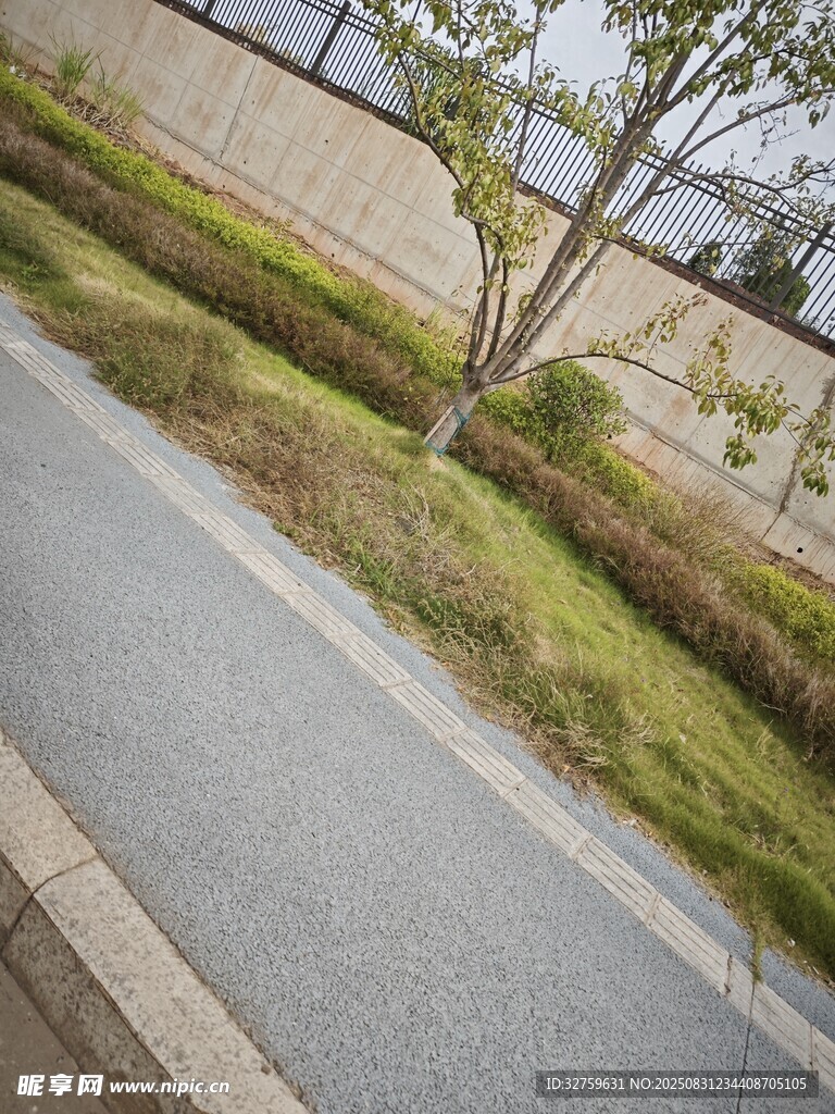 小区内的绿化小径景观
