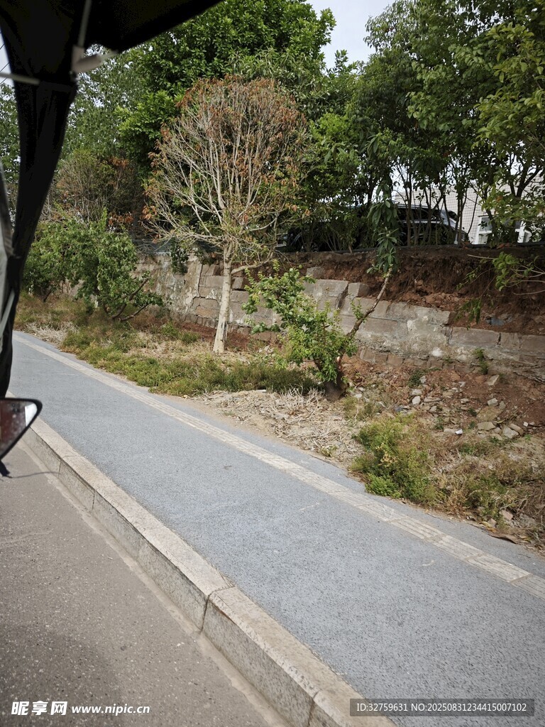 路边景致