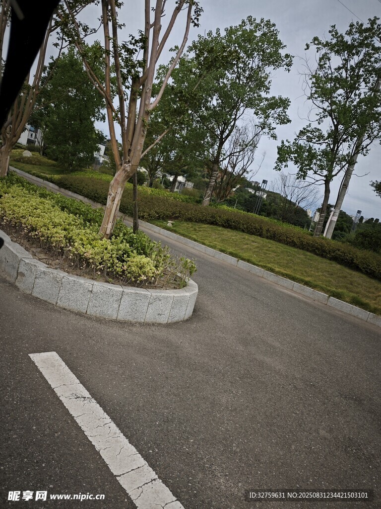 道路旁的绿植景观