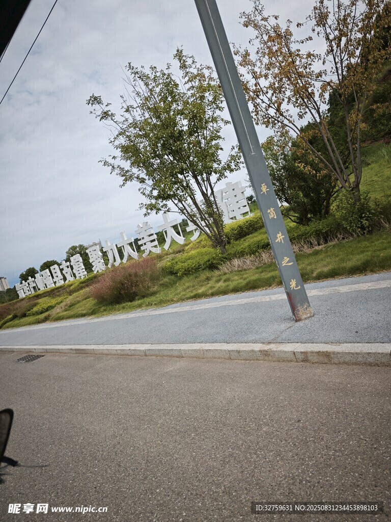 道路旁的绿植与电线杆