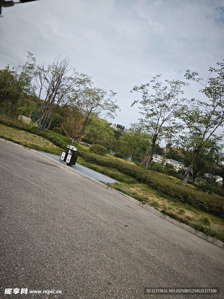 道路旁绿意盎然的景致