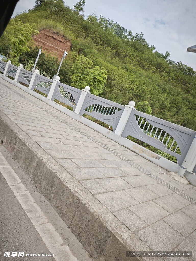 路边白色护栏与绿植景观