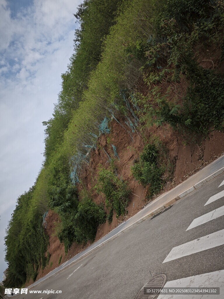 路边绿植覆盖的斜坡