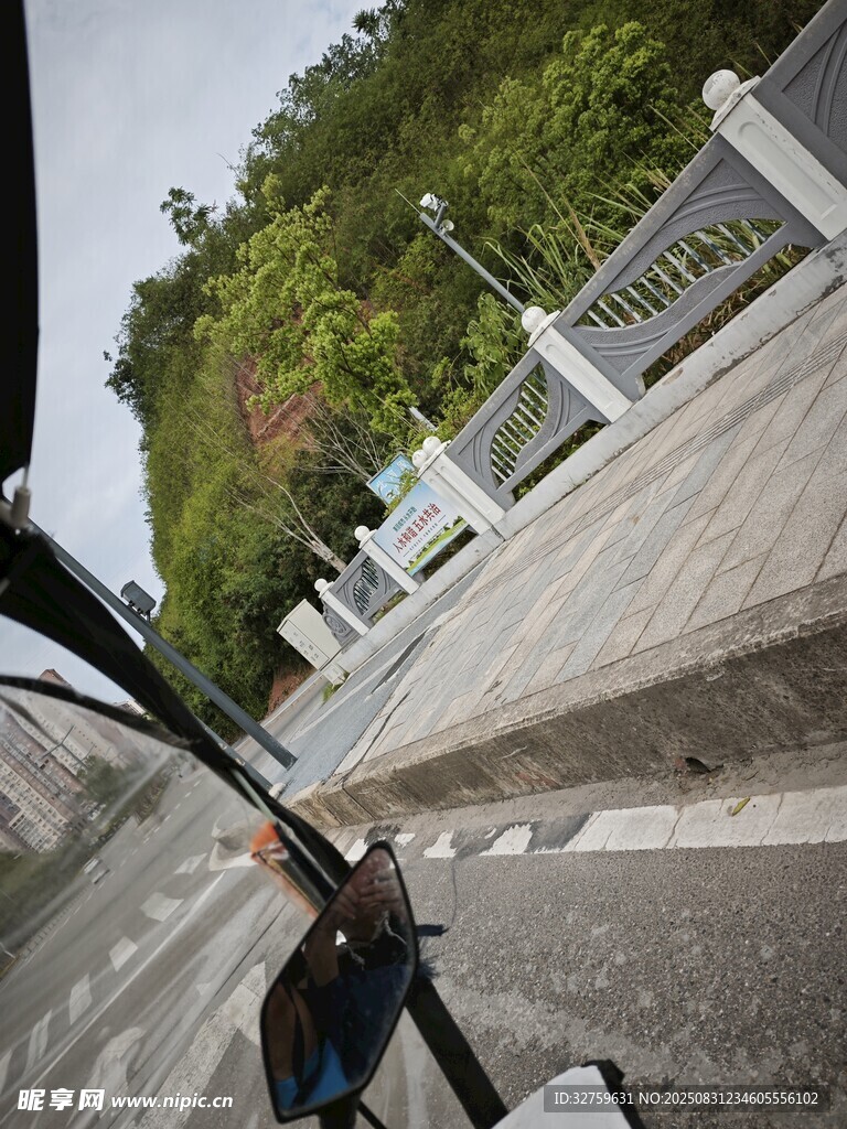 骑行视角下的道路与绿植