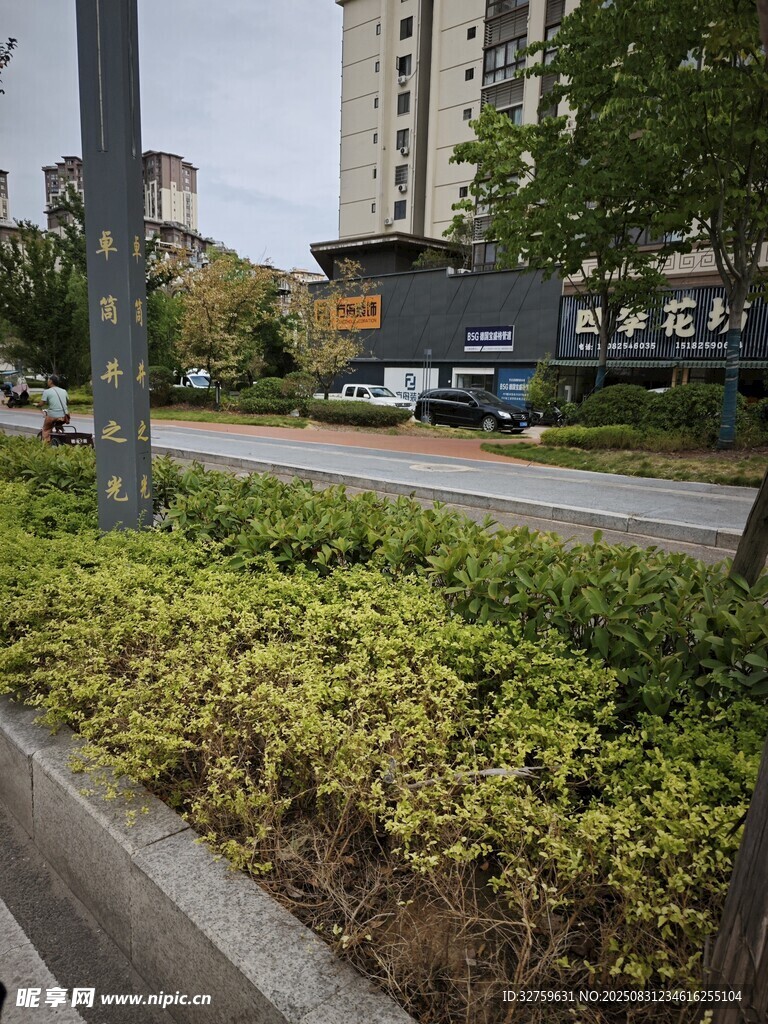 城市路边绿化带景观