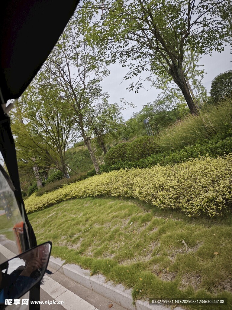 车窗外的绿意风景