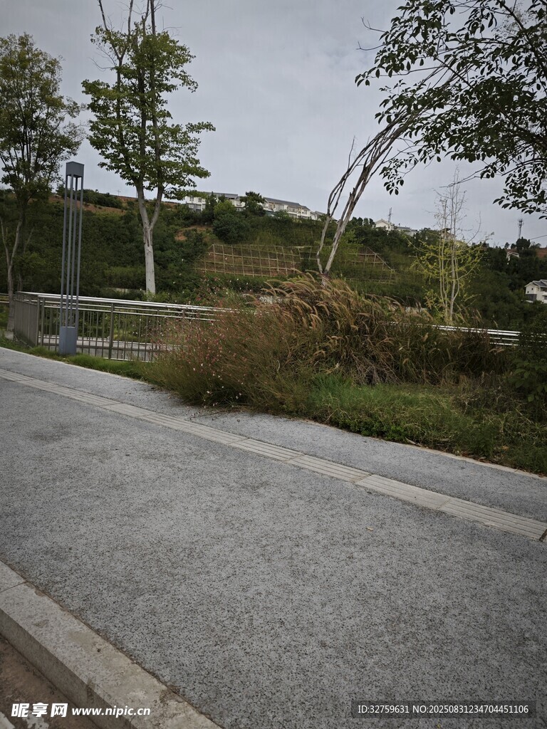 路边绿植景观