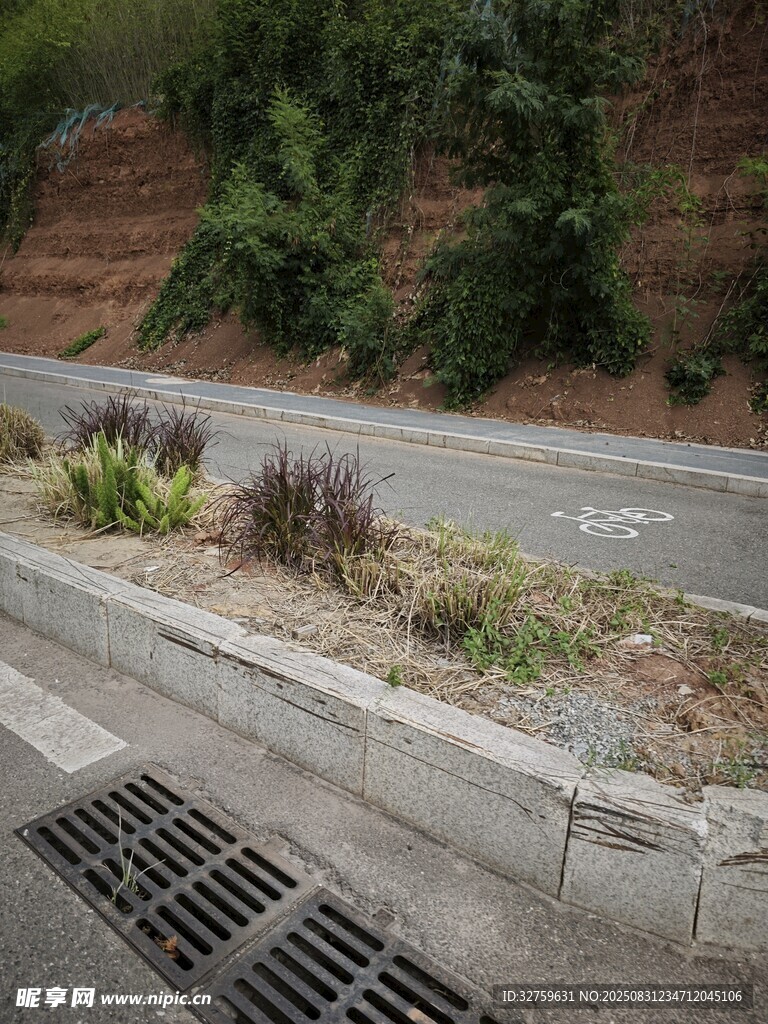 路边绿植与排水设施