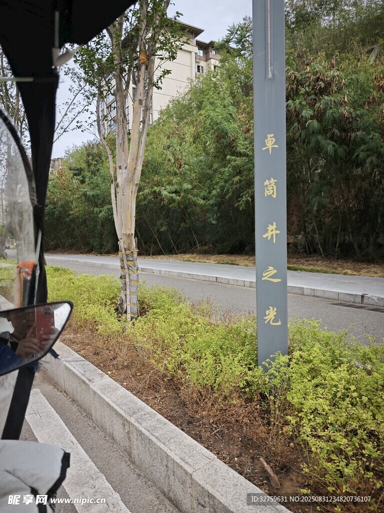 车窗外的道路绿植景观
