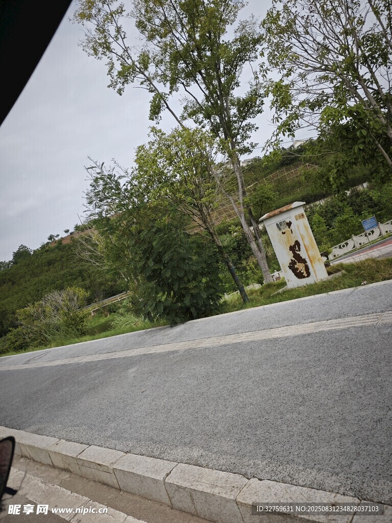 道路旁的绿树与建筑