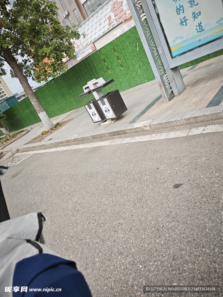 道路旁的垃圾桶与绿植