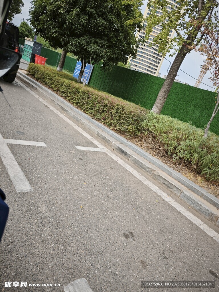 道路旁绿化带景象