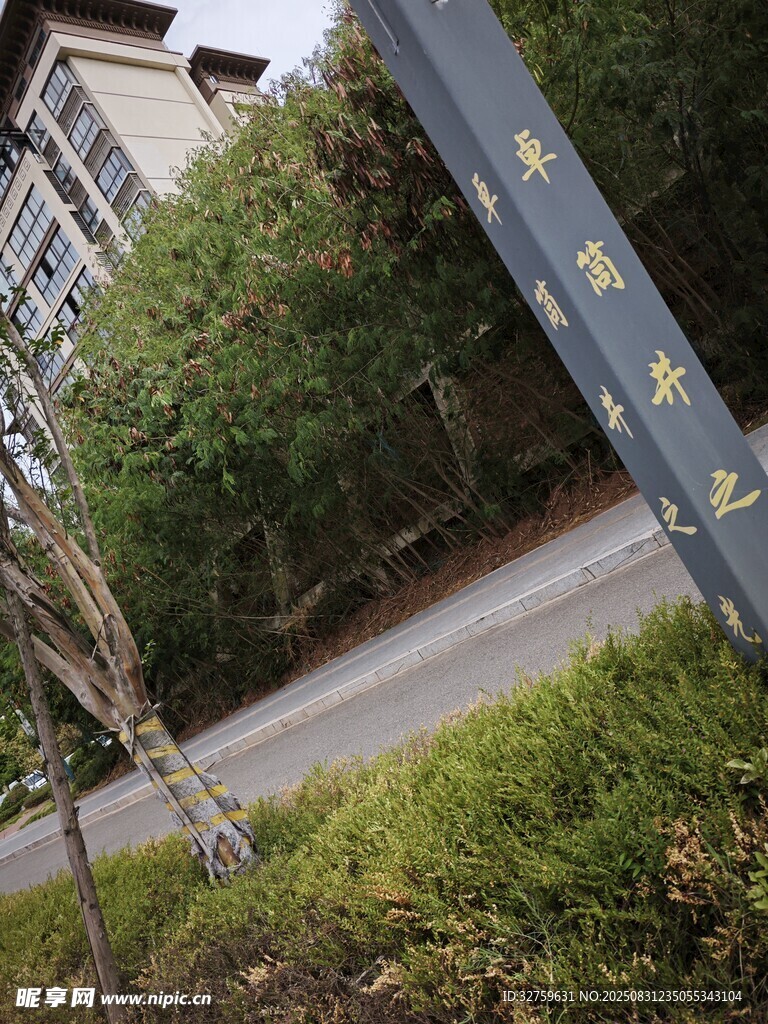 校园路旁指示牌