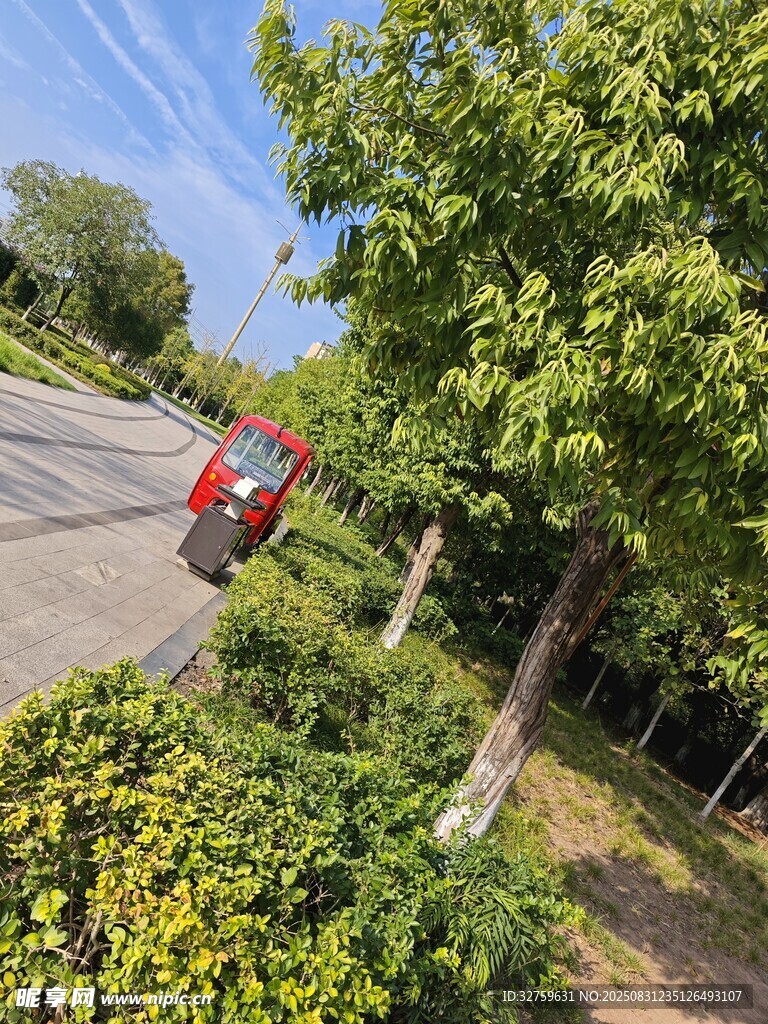 路边绿树旁的红色汽车