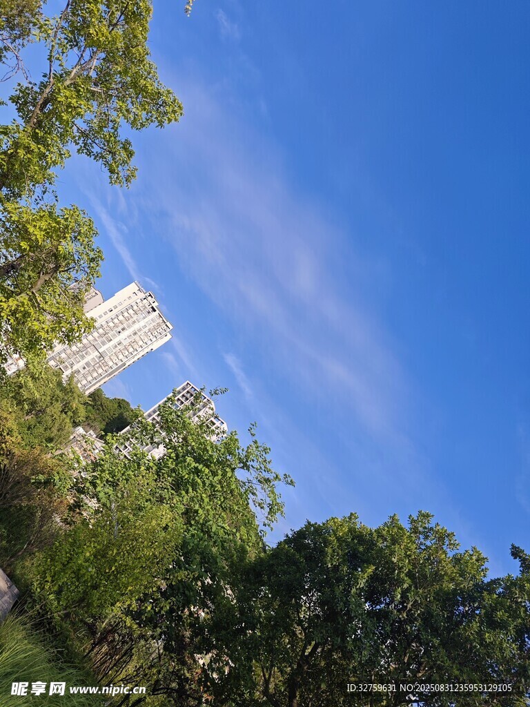 蓝天绿树间的高楼景致