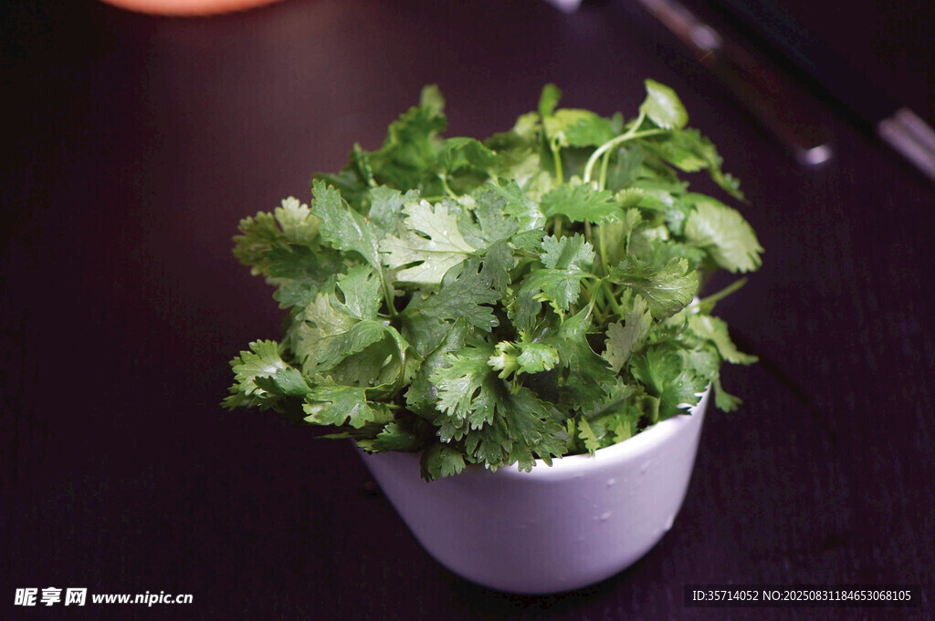白色花盆中的翠绿香菜