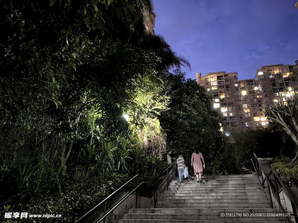 夜晚山林间的漫步小径