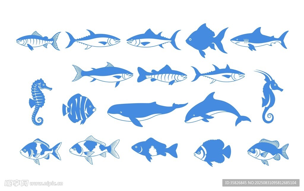 海洋生物图案