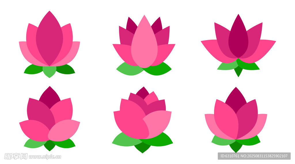 莲花图案