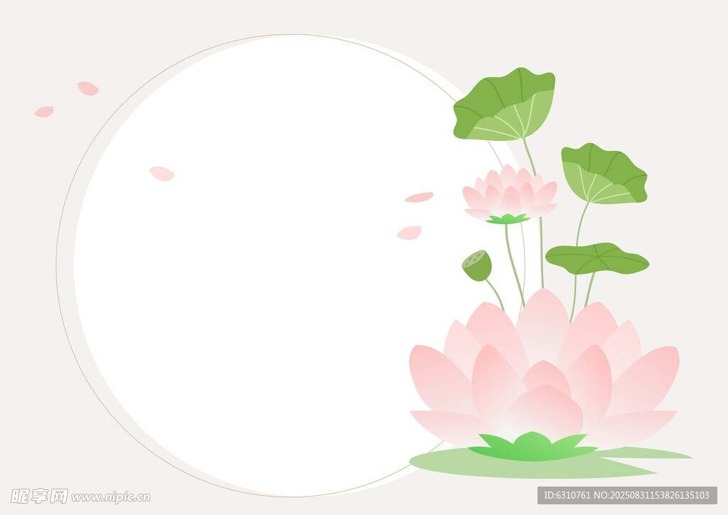 荷花背景