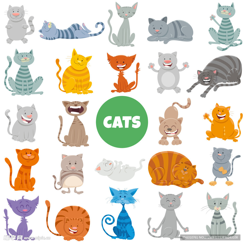 猫咪插画