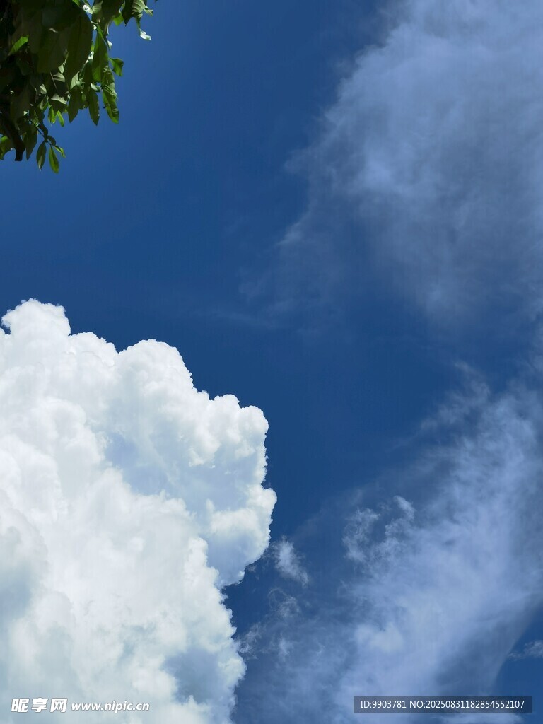 蓝天白云下的清新景致