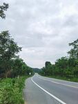 乡间公路绿意环绕的风景