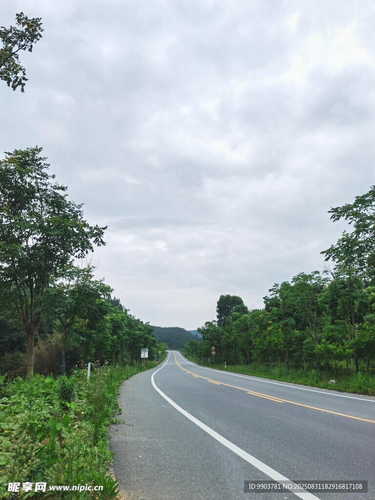 乡间公路绿意环绕的风景