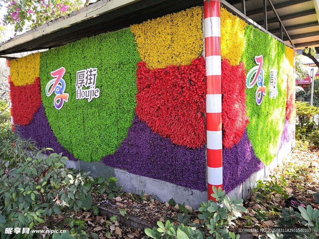 彩色涂鸦小屋