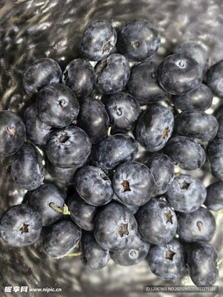 新鲜饱满的蓝莓果实