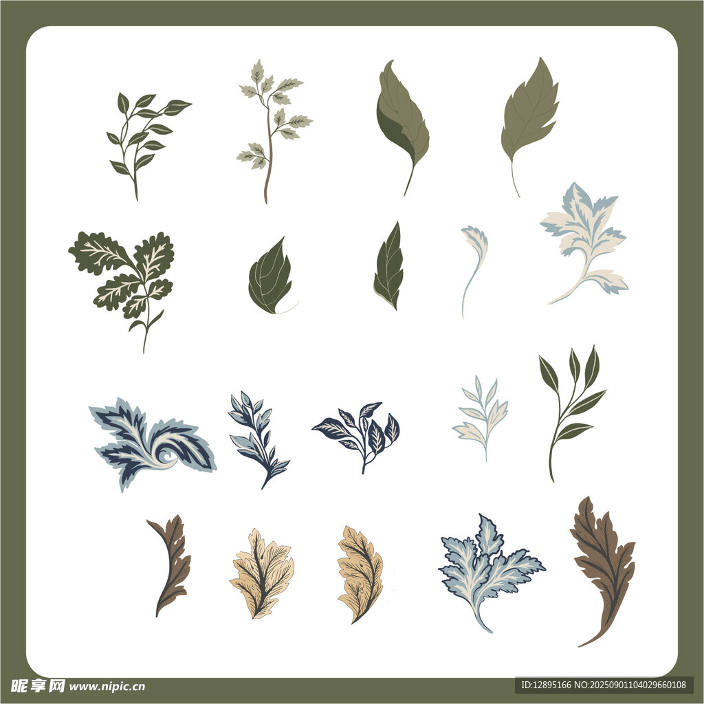多样植物叶片矢量插画素材