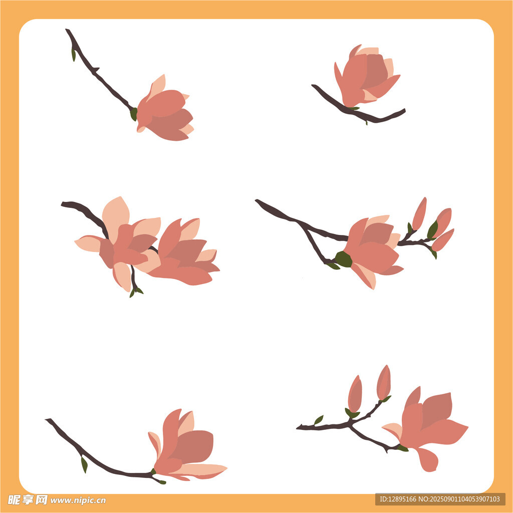 手绘粉色玉兰花枝图案