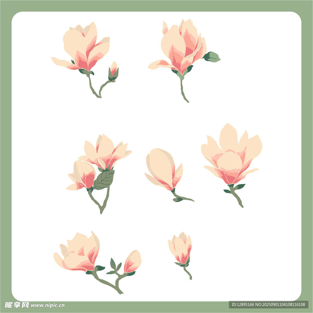 手绘粉色玉兰花插画图案