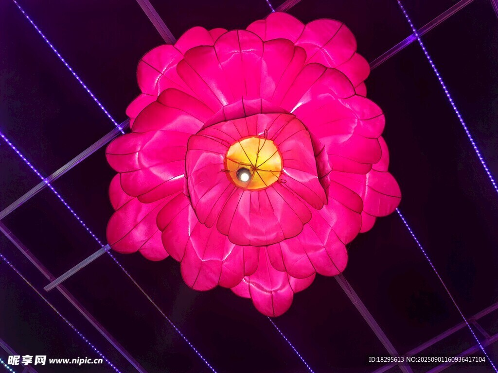 粉色花朵绽放于网格间
