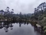 云雾缭绕的静谧山林湖泊