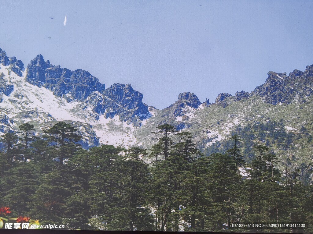 雪山与森林的壮美景观