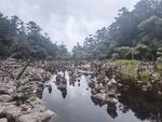 山间溪流    碎石与绿树相伴