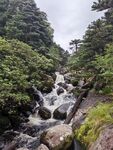 山间溪流   绿意环绕的美景