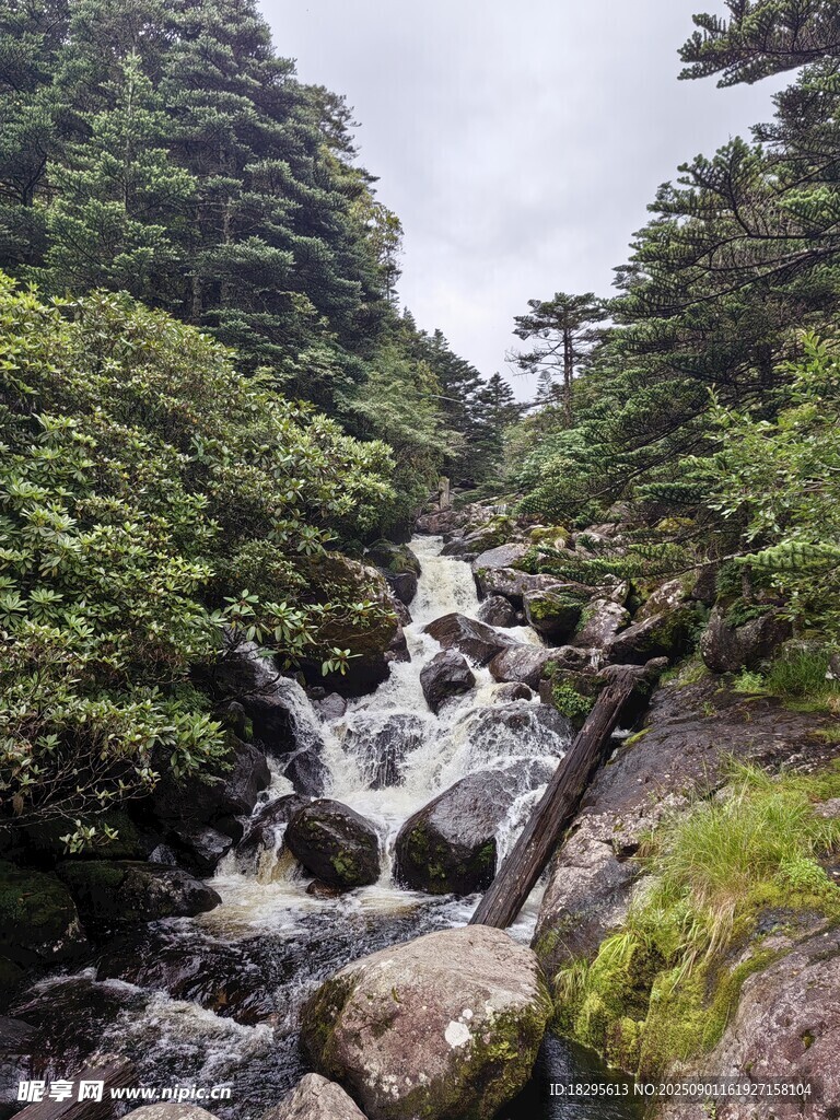 山间溪流   绿意环绕的美景