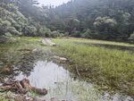 山间湿地   静谧自然景致