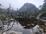 山间幽潭  自然静谧之景