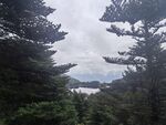 林间远眺湖景