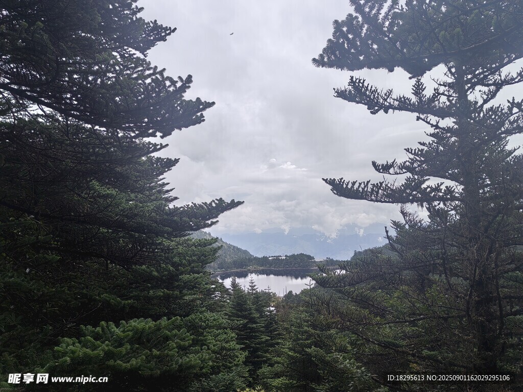 林间远眺湖景